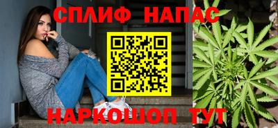 шишки Ирбит