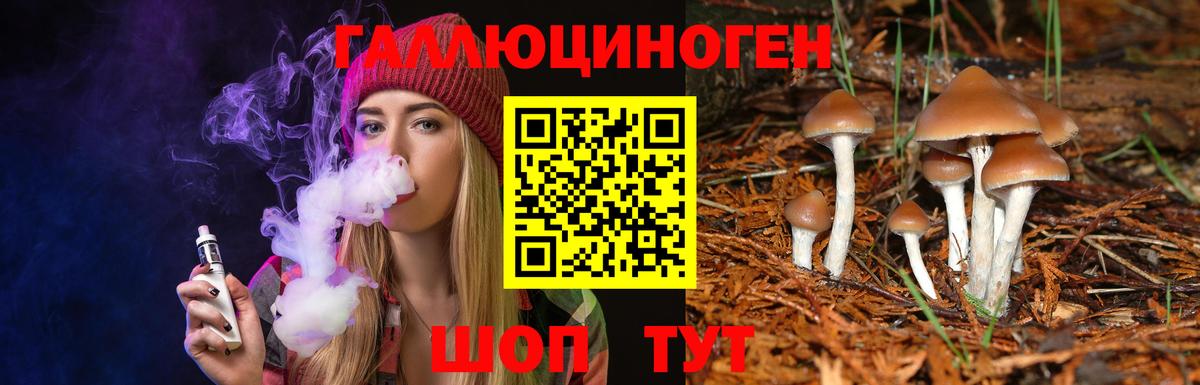Кореновск  Псилоцибиновые грибы Magic Shrooms  Вход с VPN 
